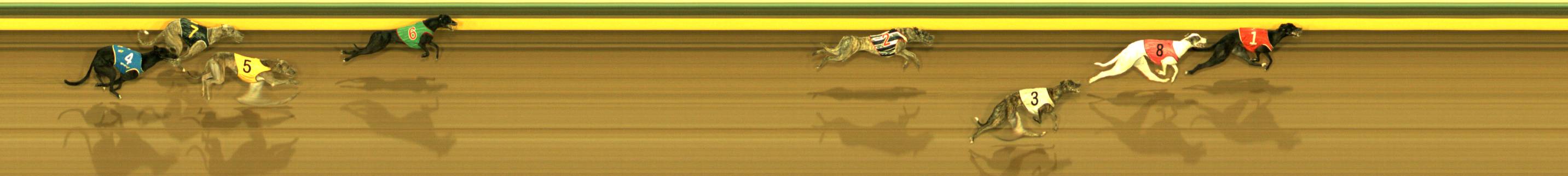 Race result finish photo
